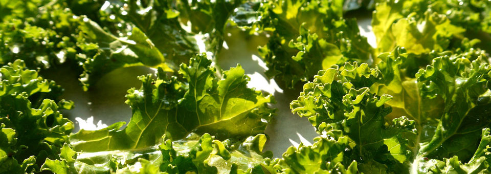 The SuperHero of Vegetables – Crunchy Kale Chips